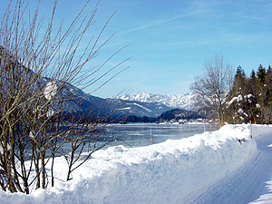 Hallstättersee im Winter